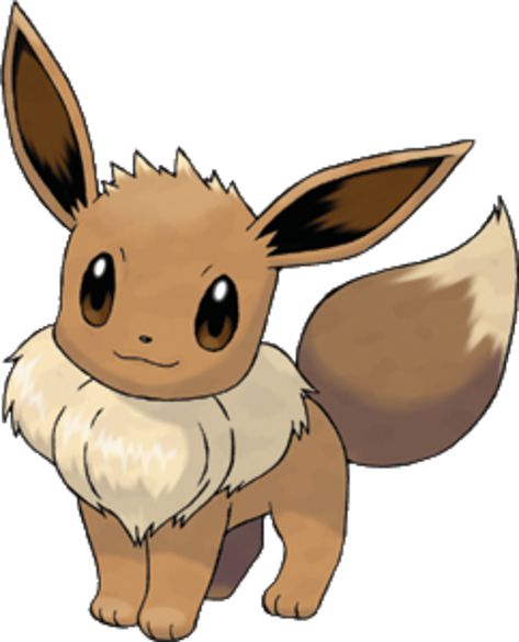 Evee Pokemon Drawing, Evee Pokemon, Evoluzioni Eevee, Eevee Cute, Pikachu Drawing, 151 Pokemon, Pikachu Pikachu, First Pokemon, Pokemon 20