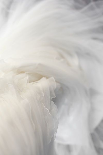 背景 シンプル, White Tulle, White Feathers, White Texture, Shades Of White, White Aesthetic, Color Textures, All White, Pure White