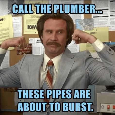 Better than Flushed Away (2006) #plumber #plumbing #plumbermemes #memes #plumbingmemes Funny Plumber Memes, Plumbing Memes, Plumber Humor, Want You, Plumbing, Funny Quotes, Paradise, Funny Memes, Humor