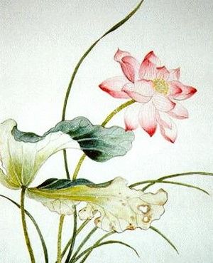 Lotus Flower Art, Lotus Painting, Red Lotus, Hand Embroidery Kits, Chinese Brush Painting, Lotus Blossom, Art Japonais, Natural Silk, Chinese Painting