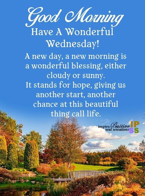 Hello May Quotes, Wednesday Morning Greetings, Daily Morning Prayer, Wednesday Morning Quotes, Good Morning Animals, Good Wednesday, Blessed Wednesday, Good Morning Wednesday, Good Morning Greeting Cards