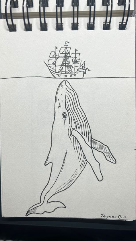 Underwater Creatures Drawing, Underwater Animals Drawing, Big Drawings, Pirate Ship Drawing, Whale Sketch, Underwater Drawing, Shrunken Heads, Whale Drawing, Big Whale