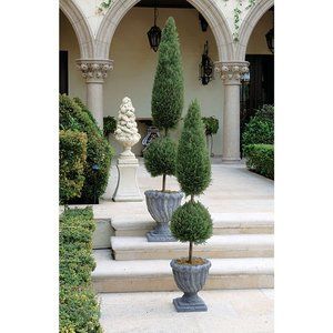 Blue Point Juniper, Spiral Topiary, Outdoor Topiary, Topiary Tree, Boxwood Topiary, Floor Plants, Topiary Trees, Garden Maintenance, Topiaries