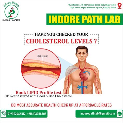 #CholesterolTest | #HealthyHeart | #LowerCholesterol | #HeartHealth | #HealthyLiving | #Prevention | #Pathology | #BloodTest | #HealthCheckup | #Wellness | #Fitness | #HealthyEating | #DietTips | #Exercise | #LifestyleChanges | #HealthScreening | #MedicalTests | #IndorePathLab |#HealthCare | Leveled Books, Lipid Profile, Health Check, Cholesterol Levels, Indore, Health