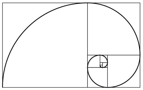 A Fibonacci spiral which approximates the golden spiral, using Fibonacci sequence square sizes up to 34. Fibonacci Art, Fibonacci Number, Storm Thorgerson, Golden Section, Photography Rules, Composition Techniques, Divine Proportion, Golden Spiral, Fibonacci Sequence