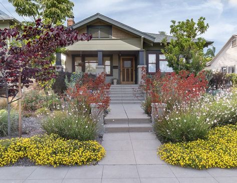 Mailbox Garden, Colorful Shrubs, Low Water Plants, Corner Garden, Casa Exterior, Sustainable Garden, Big Car, Front Yard Garden, Car Safety