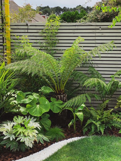 Jungle Tropical, Garden Design Uk Landscaping, Fernery Ideas Design Shade Garden, Queensland Garden Ideas, Jungle Garden Design, Small Garden Design Uk, Tropical Garden Design Landscaping Front Yards, Jungle Garden Ideas, Tropical Garden Front Of House