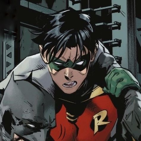 Robin Tim Drake, Batman And Robin, Matching Icons, Drake, A Man, Batman, Green