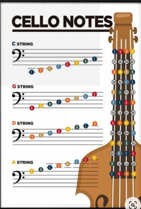 Cello Notes Chart, Violin Notes Chart, Cello Wallpapers, Cello Songs, Cello Notes, Cello Design, Violin Fingering Chart, Cello Lessons, Cello Sheet Music