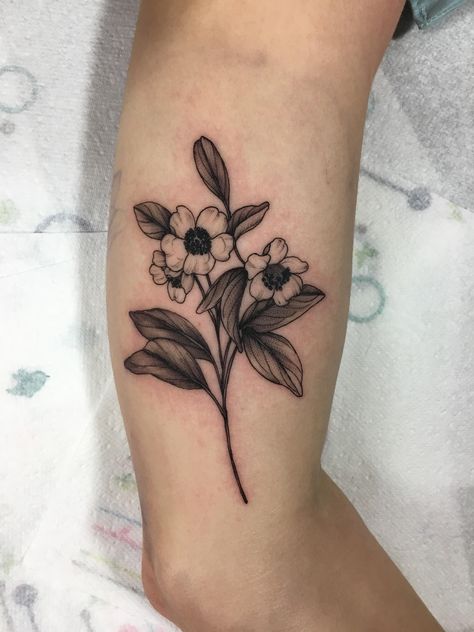 Tea Flower Tattoo, Tea Tattoo, Camellia Sinensis, Herbal Infusion, Flower Tea, In Water, Flower Tattoo, Piercings, Tea