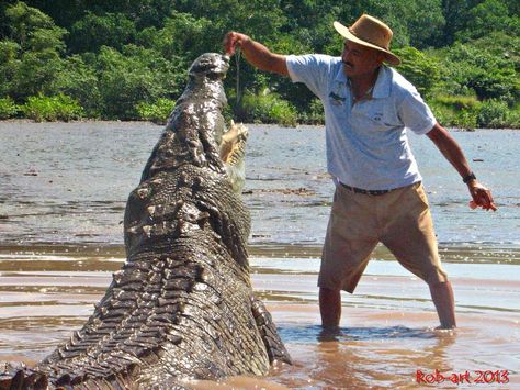 Melendez Tours - Day Tours, El Roble: See 20 reviews, articles, and 18 photos of Melendez Tours - Day Tours on TripAdvisor. Dragon Inspiration, Terri Irwin, Irwin Family, Crocodile Hunter, Bindi Irwin, Steve Irwin, Great Pic, Steph Curry, Pretty Animals