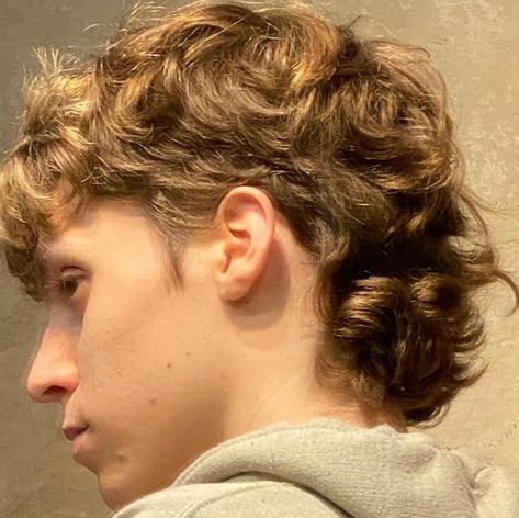 Cool Mens Haircuts Curly Hair, Male Mullet Aesthetic, White Boy Mullet, Subtle Mullet Men, Soft Mullet Men, Curly Shag Haircut, Male Haircuts Curly, Men Haircut Curly Hair, Haircut Curly Hair