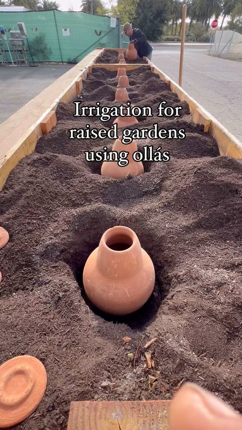 Instagram Water Conservation, Plant Needs, Raised Garden, Herbs, Plants, Instagram