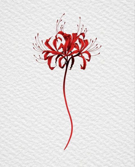 Higanbana Tattoo, Omega Jungkook, Lily Tattoo Meaning, Spider Lily Tattoo, Beautiful Spine Tattoos, Lillies Tattoo, Lily Tattoo Design, Spine Tattoo Ideas, Wrist Tattoo Designs