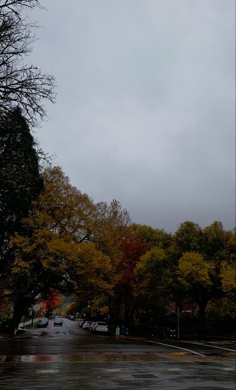 #oregon #university #clouds #fall #aesthetic University Of Oregon Aesthetic, Romanticizing College, Oregon Aesthetic, Oregon University, California College, Dream College, Dream School, University Of Oregon, Fall Aesthetic