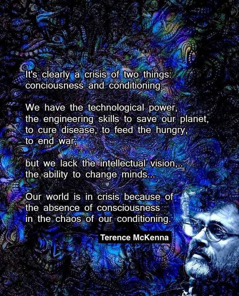 Terrance Mckenna, Terrence Mckenna, Timothy Leary, Terence Mckenna, Psy Art, Anti Government, Philosophical Quotes, Free Mind, Spiritual Guidance