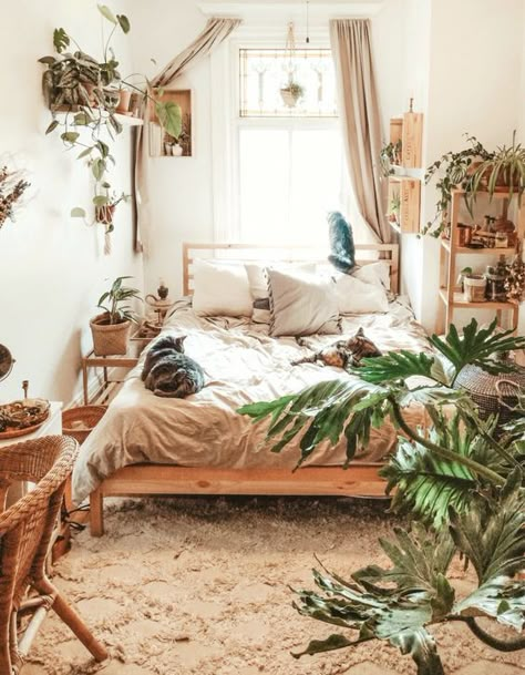 a small boho bedroom with wooden and wicker furniture, potted greenery, neutral textiles is flooded with light Bohemian Bedroom Inspiration, Modern Bohemian Bedroom, Bohemian Bedrooms, Cozy Small Bedrooms, Tropical Living Room, Lots Of Plants, Interior Boho, Tropical Living, Gorgeous Bedrooms