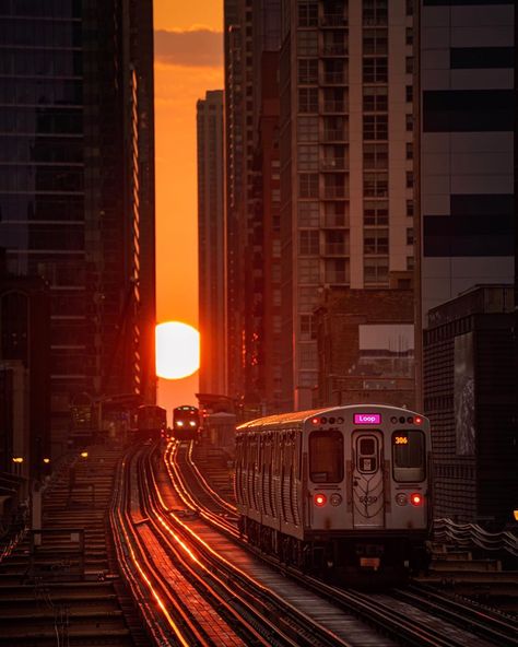 Today’s henge sunrise. . . . . #chicago #chicagohenge #chi_shooters #artofchi #chicagolife #chicagocityworld #choosechicago #eyeinthechi… Chicago L, Chicago Loop, Chicago Pictures, Chicago Street, Living Modern, Chicago Photography, U Bahn, Chicago City, Train Pictures