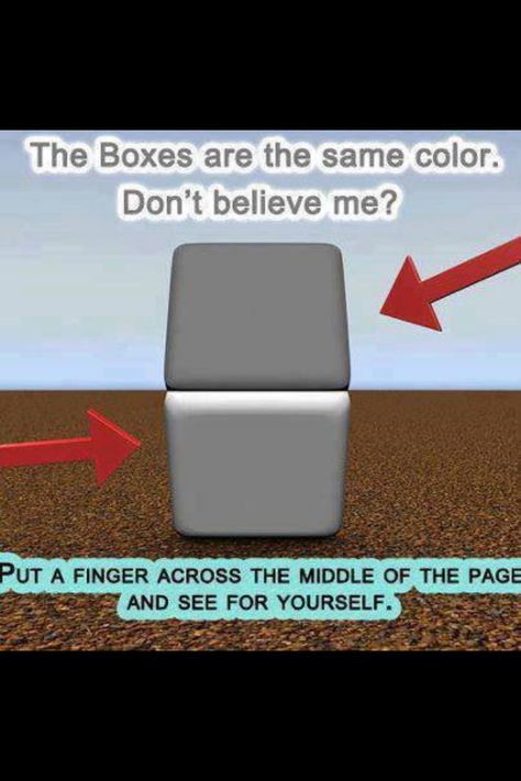 Cool Color Optical Illusions, Amazing Optical Illusions, Friday Pictures, Eye Tricks, Cool Illusions, Cool Optical Illusions, Visual Illusion, Brain Tricks, Mind Tricks