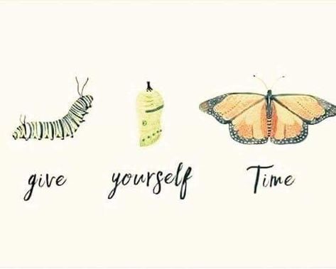 A Butterfly, Note To Self, The Words, Caterpillar, Beautiful Words, Mantra, Inspirational Words, Cool Words, Cheerleading