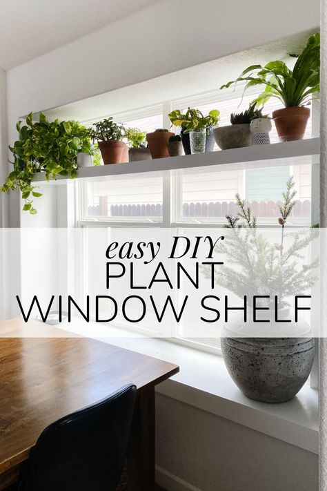 Window Plant Shelves Diy, Plant Window Shelf, Diy Window Shelf, Kitchen Window Plants, Window Shelves For Plants, Window Shelf For Plants, Shelf For Plants, Plant Ledge, Window Plant Shelf