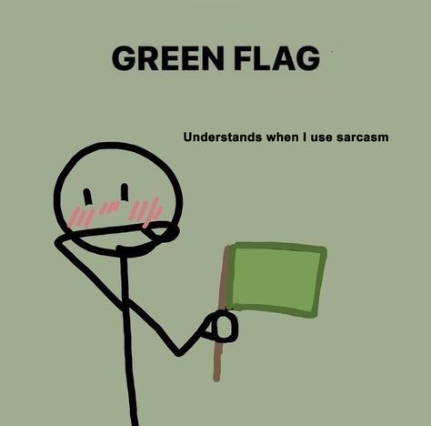 Green Flag Aesthetic, Green Flag, Green Flags, Green Flag Meme Funny, Memes About Being Scared, Whisper Meme, Demigender Memes, Frog Memes Funny, Get To Know Me