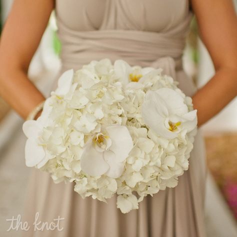 White orchid and hydrangea bridesmaid bouquet // photo by: Bee Photographie // Flowers: Lime Dezigns // More: http://www.theknot.com/weddings/album/a-classic-sophisticated-wedding-in-palm-beach-fl-110235 Hydrangea Bridesmaid, Hydrangea Bridesmaid Bouquet, White Hydrangea Bouquet, Orchid Bouquet Wedding, Hydrangea Bouquet Wedding, Orchid Bouquet, Wedding Bouquets Bride, Hydrangea Bouquet, Boda Mexicana