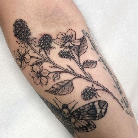 Blackberry Sprig Tattoo, Berry Tattoo Black And White, Blackberry Shoulder Tattoo, Blackberry Tattoo Sleeve, Black Berries Tattoo, Wild Berry Tattoo, Blackberry Bramble Tattoo, Berry Branch Tattoo, Raspberry Branch Tattoo