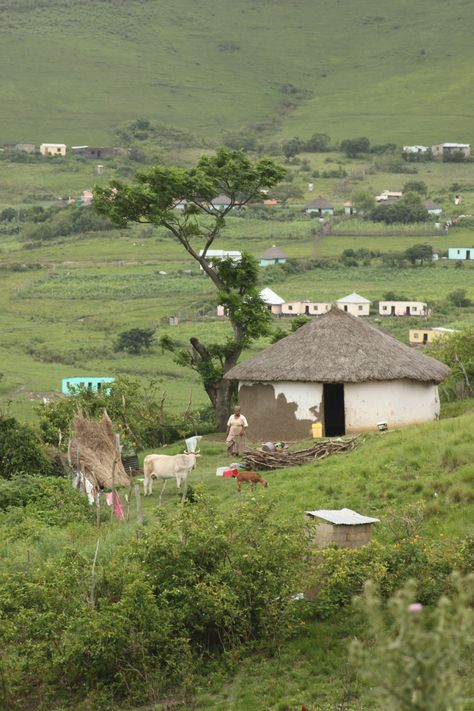 Pondoland, Eastern Cape, South Africa Eastern Cape South Africa Xhosa, Emakhaya Aesthetic, South African Aesthetic, South Africa Party, South Africa Vacation, Agriculture Photography, Eastern Cape South Africa, Tribes Of The World, African Life