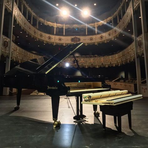 J. Elliott & Co. on Instagram: “Concert service prep at the @theringling historic Asolo theater with a @boesendorferofficial concert grand piano for artist…” Concert Grand Piano, Piano Studio Room, Piano Studio, Music Jokes, Studio Room, Grand Piano, Piano Music, Theater, Piano