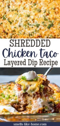 Shredded Chicken Dips Recipes, Mexican Chicken Appetizers, Dips With Chicken In It, Shredded Chicken Appetizers Easy, Chicken Taco Appetizers, Dips With Shredded Chicken, Dip With Shredded Chicken, Cinco De Mayo Meals, Taco Potluck Ideas