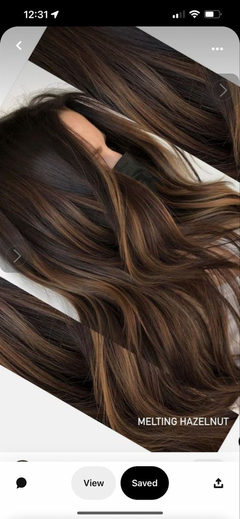 Medium Length Layered Hair, Hair Ideas For Brunettes, Fall Hair Ideas, Rambut Brunette, Black Hair Balayage, Colors Hair, Brown Hair Inspo, Hairstyle Idea, Brunette Hair With Highlights