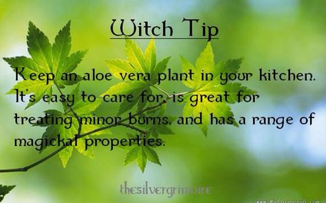 Wiccan Sabbats, Consciousness Quotes, Good Luck Spells, Magickal Herbs, Spells For Beginners, Luck Spells, Easy Spells, Green Witchcraft, Green Magic