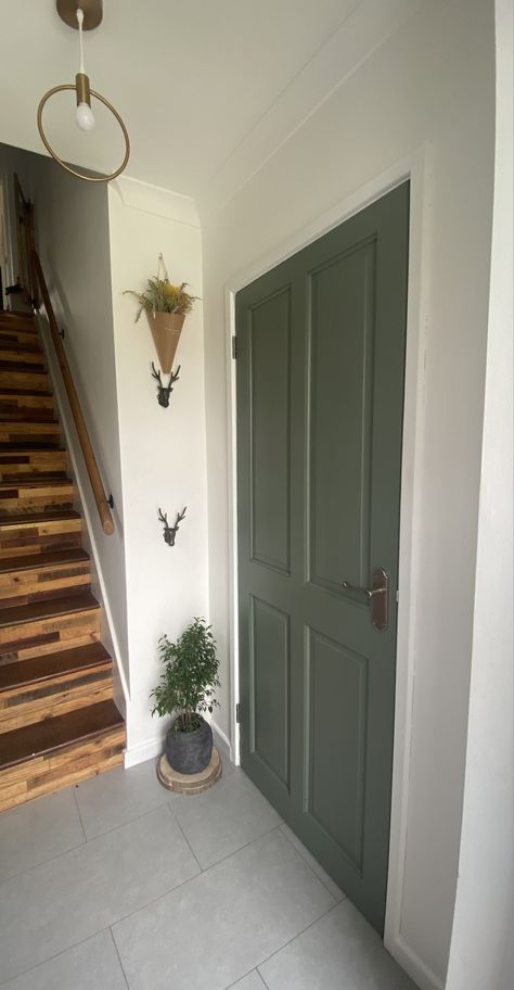 Interior door ideas Interior Green Doors, Sage Green Interior Doors, Green Doors Interior, Colorful Doors Interior, Green Interior Doors, Mid Century Interior Doors, Interior Door Ideas, Card Room Green, Quiet House