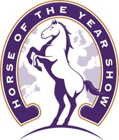 Show Horse, Vision Board Manifestation, All About Horses, Horse Show, Gift Of Time, Ferrari Logo, Show Jumping, Music Concert, Show Horses