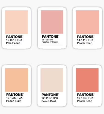 Penanda Buku, Square Stickers, Peach Aesthetic, Sticker Designs, Orange Aesthetic, Wallpaper Iphone Quotes, Aesthetic Pastel, Stickers For Sale, Aesthetic Pastel Wallpaper