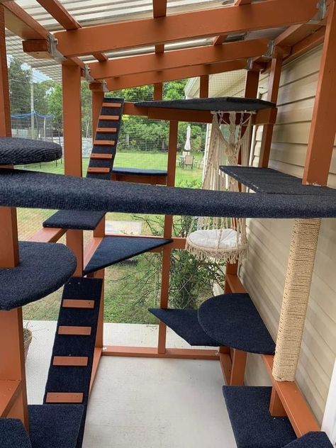 Cat House Outdoor, Catio Plans, Diy Cat Enclosure, Katt Grejer, Cat Area, Bed In Closet Aesthetic, Cat Patio, Aesthetic Bed, Outdoor Cat Enclosure