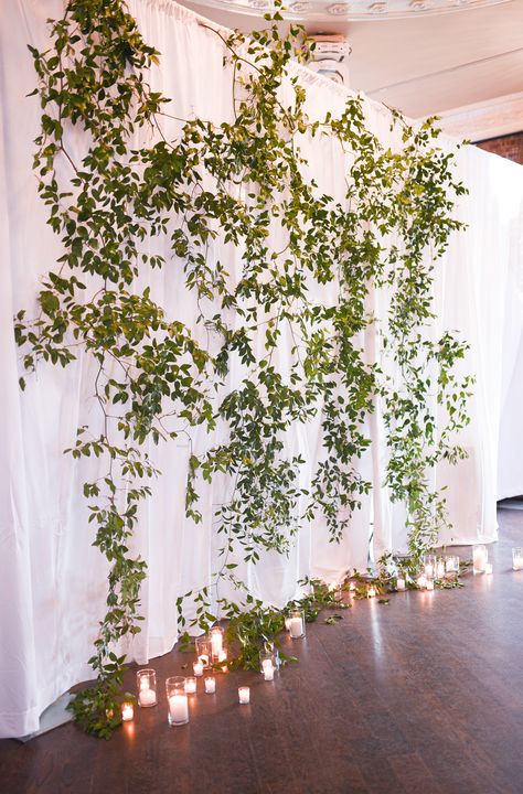 Greenery Climbing Wall Wedding, Greenery Background Wedding, Hanging Greenery Backdrop, Greenery Ceiling Decor, Wedding Backdrop With Lights, Green Wall Wedding Backdrop, Flower Vine Decor, Hanging Greenery Wedding, Backdrop With Lights