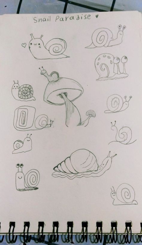 Cute snail Cute Snail Drawings, Cute Snail, Snail Art, Art Cute, Art Drawings Sketches, Drawing Sketches, Bullet Journal, Art Drawings, Sketch