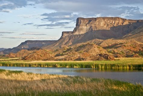 15 Day Trips from Phoenix – American SW Obsessed Arizona Day Trips, Rocky Desert, Williams Az, Williams Arizona, Best Weekend Trips, Visiting The Grand Canyon, Visit Sedona, Trip To Grand Canyon, Wild Meadow