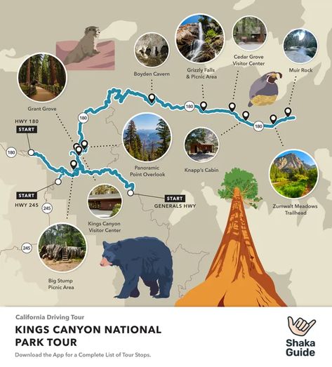 Kings Canyon National Park Itinerary - Shaka Guide National Park Itinerary, California Parks, Kings Canyon National Park, National Park Vacation, National Park Road Trip, Kings Canyon, California National Parks, National Parks Trip, California Love