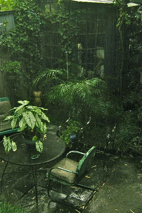 My Rainy garden Chocolate Fudge Layer Cake, Rainy Garden, Rainy Mood, Rainy Day Aesthetic, Plant House, I Love Rain, Dark Green Aesthetic, Love Rain, Aesthetic Nature