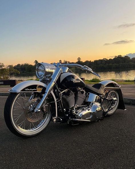 Your daily dose of the best Harley Davidson Softail photos Hd 883 Iron, Harley Softail Custom, Harley Softail Deluxe, Softail Bobber, Harley Davidson Pictures, Sportster Bobber, Harley Davidson Softail, Custom Motorcycles Harley, Bagger Motorcycle