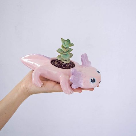 Axolotl Ceramic, Axolotl Clay, Clay Axolotl, Tanah Liat, Clay Diy Projects, Diy Pottery, Cute Clay, Clay Art Projects, Ceramics Projects