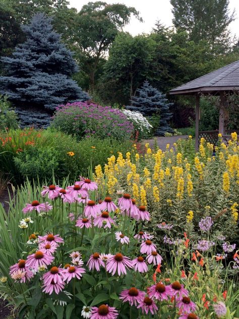 Layered Garden, Growing Blackberries, Seeding Lawn, Large Backyard Landscaping, Peruvian Lilies, Wildlife Gardening, Wildflower Garden, Garden Cottage, Wildflower Seeds