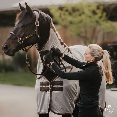 Sun, summer and... care for your horse! 🐴☀️ In our recent Academy article, we discuss four Kentucky Horsewear blankets that are ideal to use in the summer. Whether you're looking for protection against insects, help with cooling, or just a light blanket, we've got it all! 🙌 Read the full article on our Emmers Academyand make sure you and your horse are ready for a summer full of fun. Be sure to come and take a look in our Kentucky Concept Store or visit one of our other stores, see you soon... New Horse Arrival, Horse Blanketing Guide, Blankets For Horses, Horse Turnout Blanket, Horse Blankets Winter, Boot Brush, Mask Pictures, Pony Rider, Tendon Boots