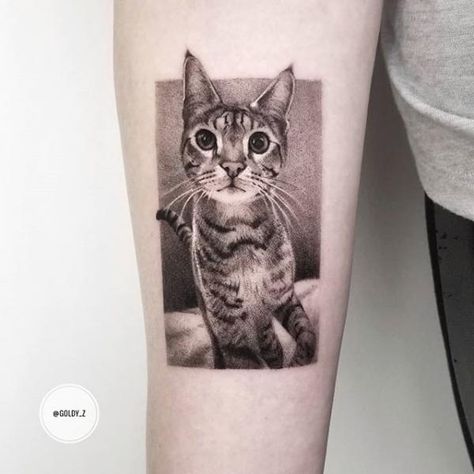 Cat Portrait Tattoos, Summer Tattoo, Cat Tat, Cat Obsession, Cat Tattoos, Cat Tattoo Designs, Cat Portraits, Line Tattoos, Animal Tattoos