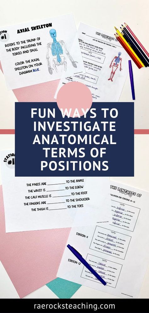 Anatomy And Physiology Anatomical Terms, Medical Terminology Project Ideas, How To Teach Medical Terminology, Anatomy Games For High School, Anatomy Activities High School, High School Anatomy And Physiology Activities, Body Planes Anatomy, Anatomy Classroom Decorations, High School Anatomy And Physiology