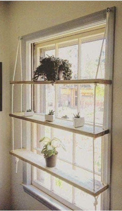 Home Decor Ideas Apartment, Window Shelf For Plants, Wall Plants Indoor, Window Plant Shelf, Wall Plants, Window Shelf, Indoor Plant Wall, Window Plants, Window Shelves