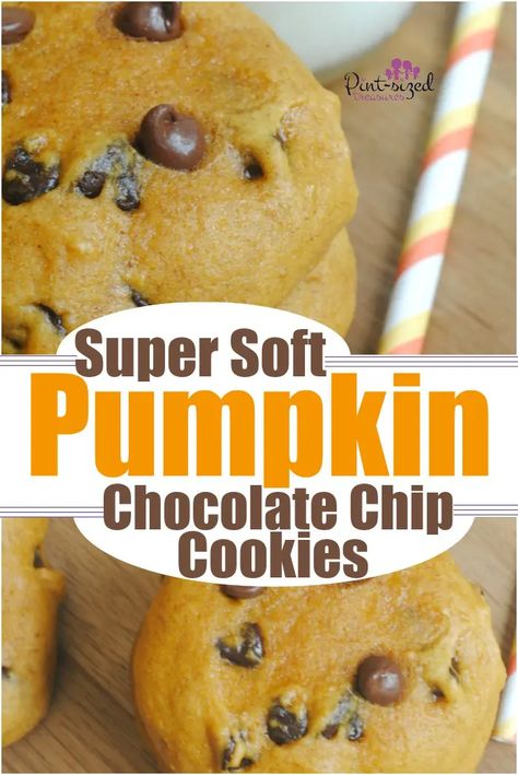 Soft Pumpkin Chocolate Chip Cookies, Pumpkin Cookies Easy, Pumpkin Snack, Pumpkin Treats, Pumpkin Cookie Recipe, Pumpkin Recipes Easy, Pumpkin Chocolate Chip, Pumpkin Chocolate Chip Cookies, Pumpkin Treat